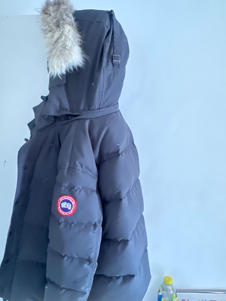 Real Canada goose with fur 