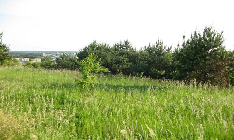 Land for rent various parcels locations ask for the list