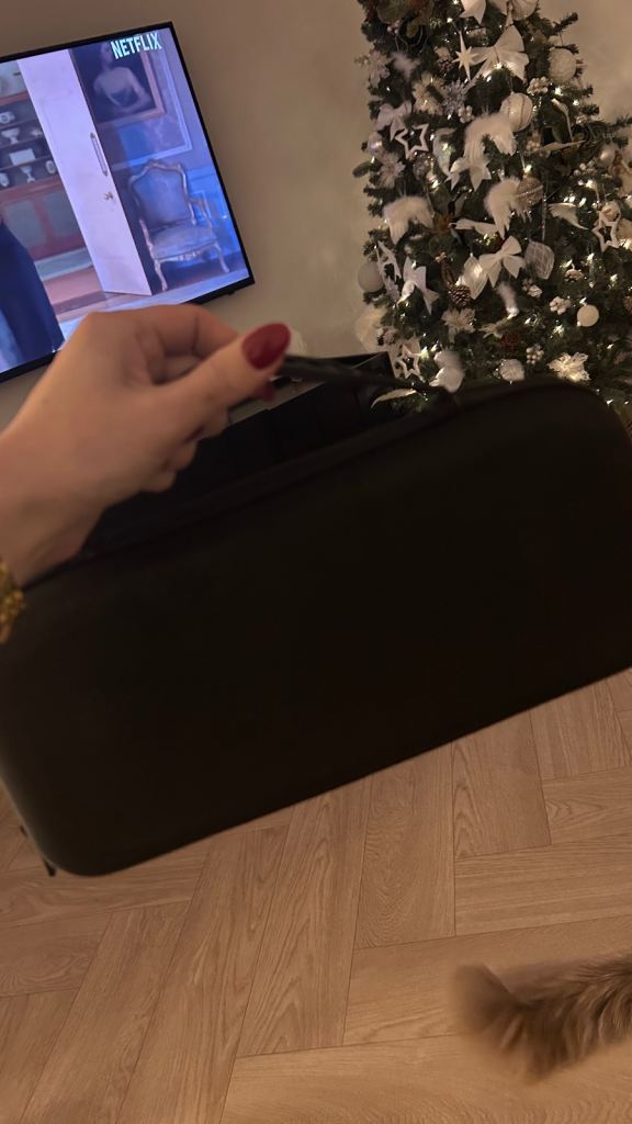 Brand new PlayStation portal - out the box in a purchased protective case 