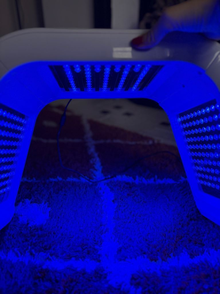 Salon Red Light Therapy Device - O'melon OMEGA Light LED Mask – As Good ...