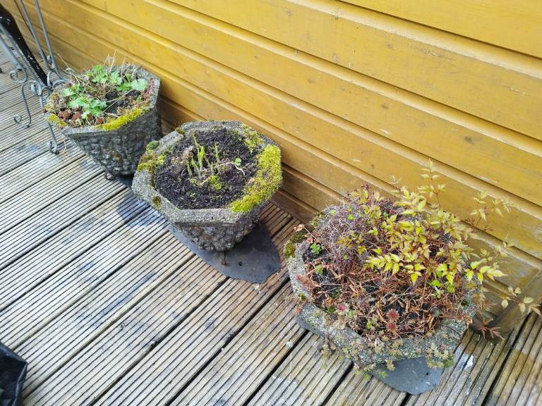 Vintage Stone Garden Planters x 3