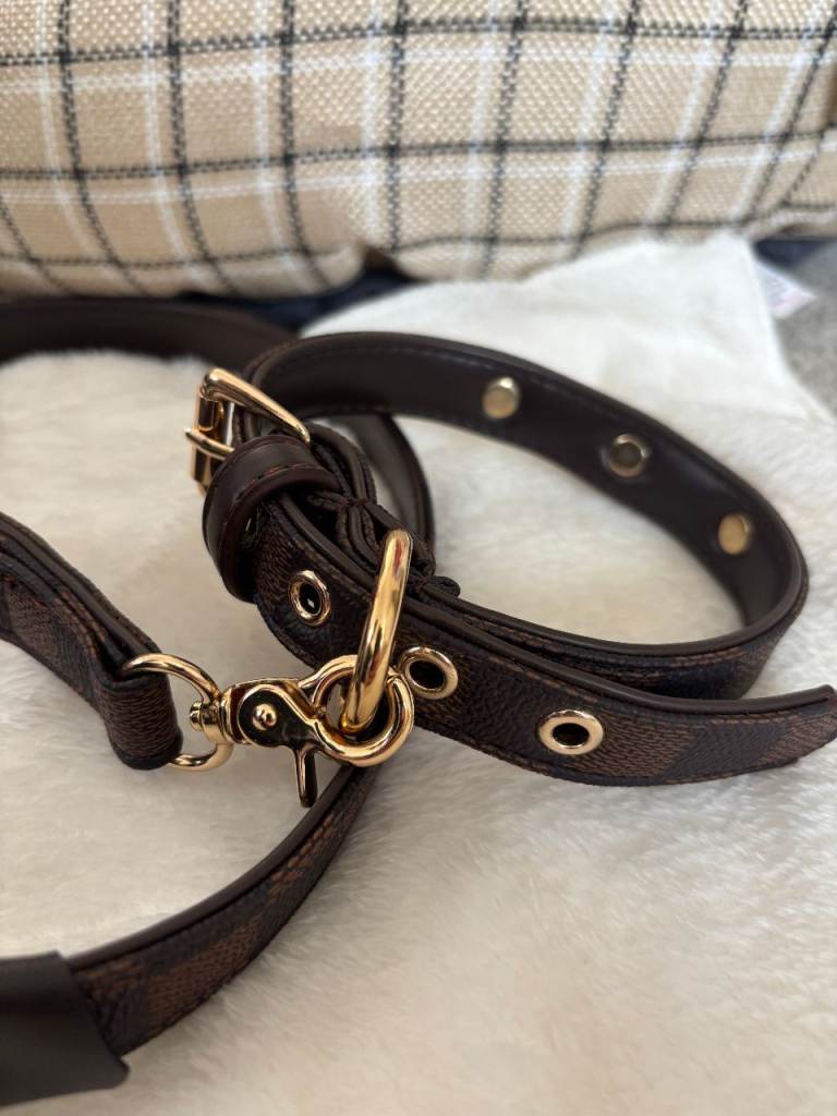 Dog Collar and Lead Small For Sale
