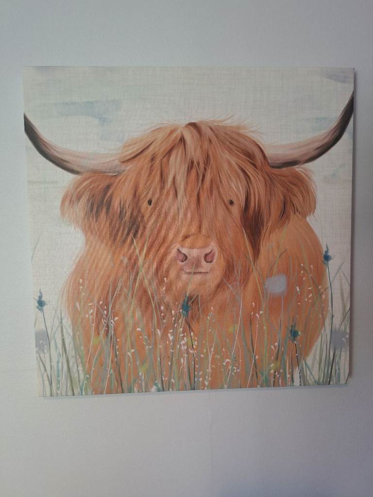 Lovely Highland Cow Canvas Painting – As Good As New