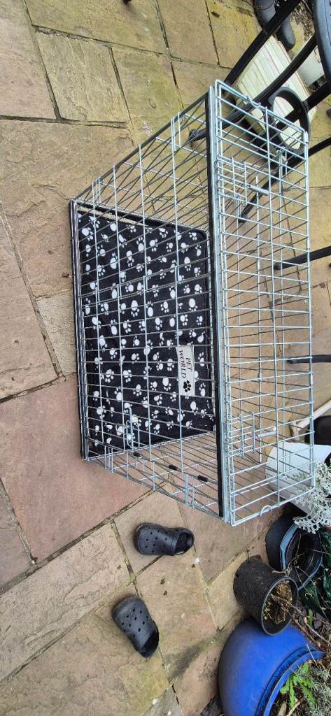 Dog Cage