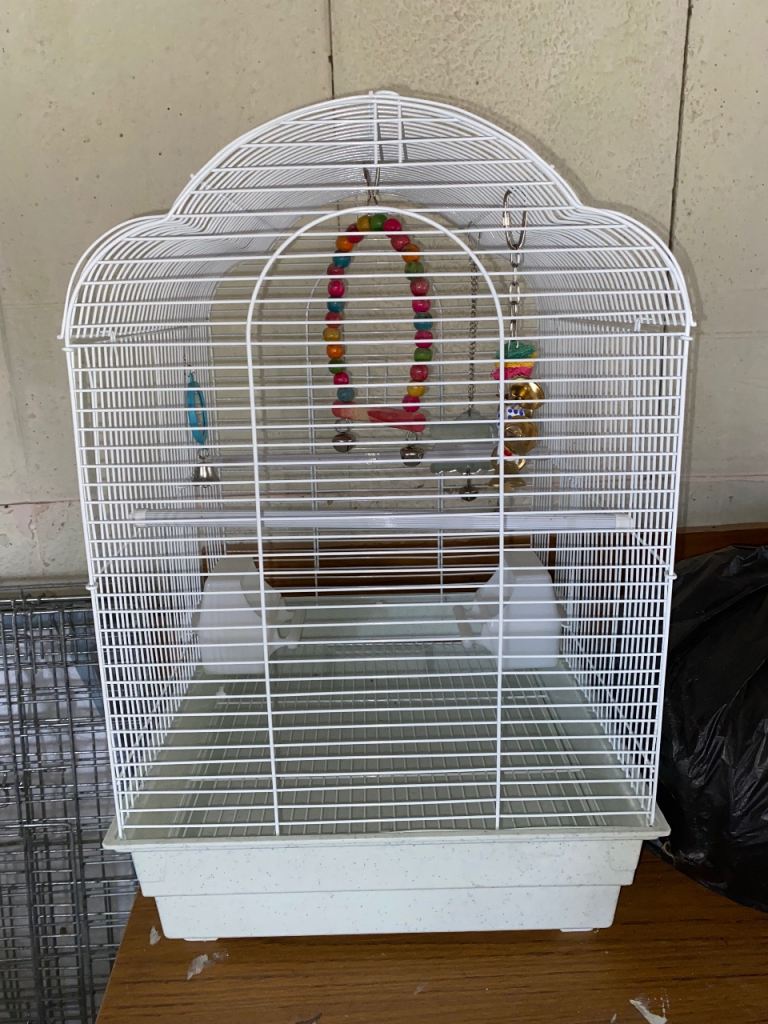 bird cage