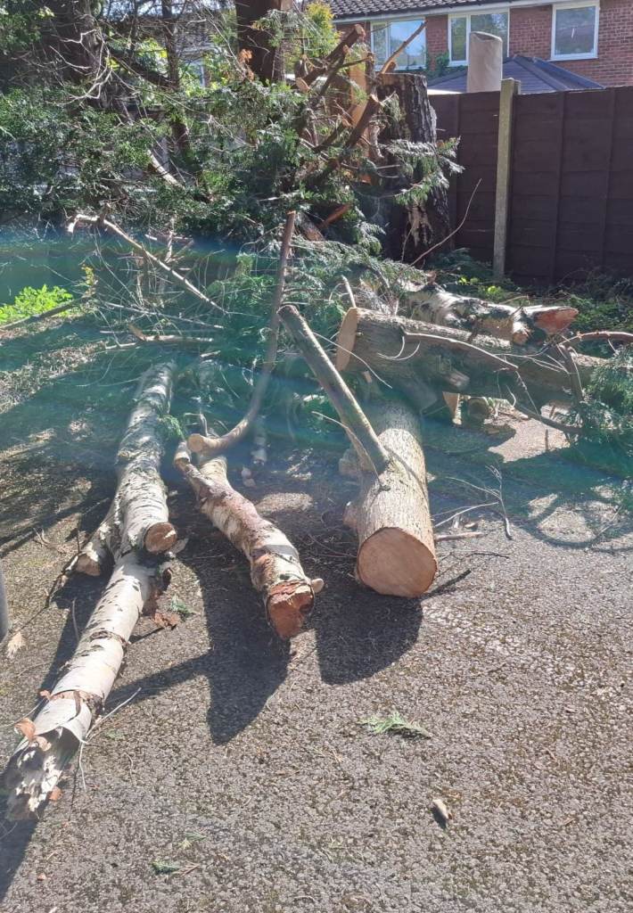 Free logs....10 minutes from MANCHESTER AIRPORT,  SK9 postcode. 