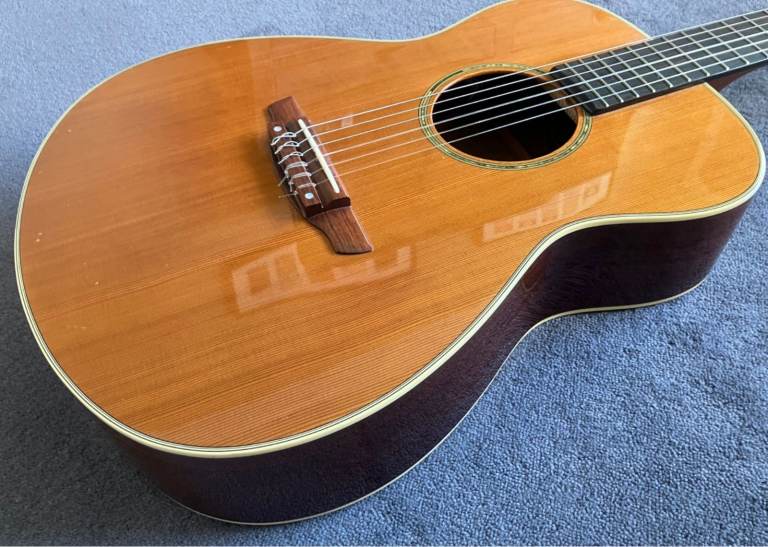 Yamaha FPX300N Nylon Strung Classical Guitar