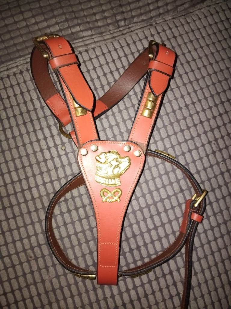 Dog harness 