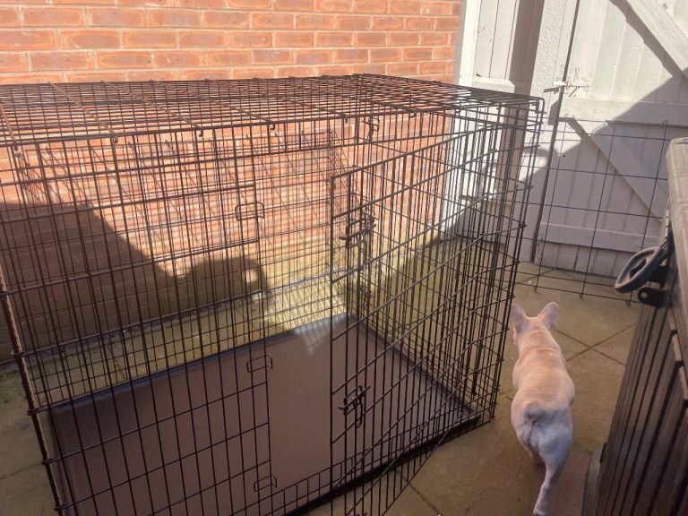 Extra large dog cage 