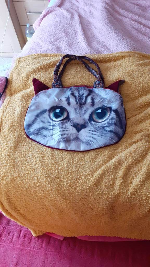 Missred Novelty Cat Bag, NEW,never used. £5.5 ono