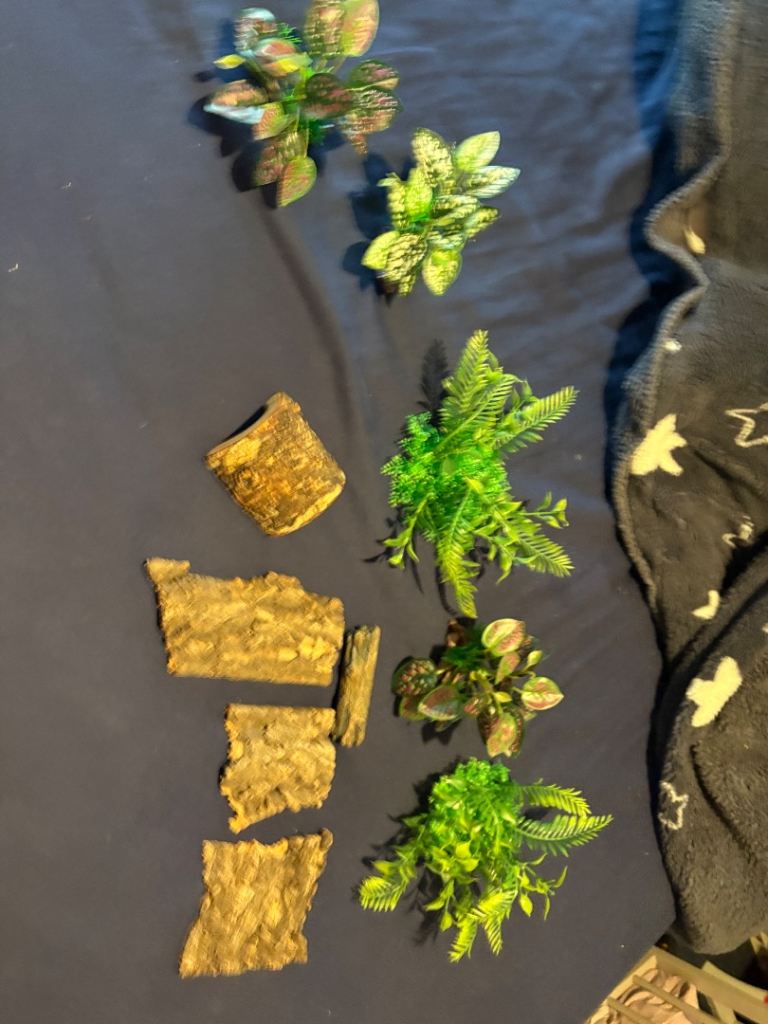 Reptile snake vivarium decor  ball python corn snake milk snake hognose snake 