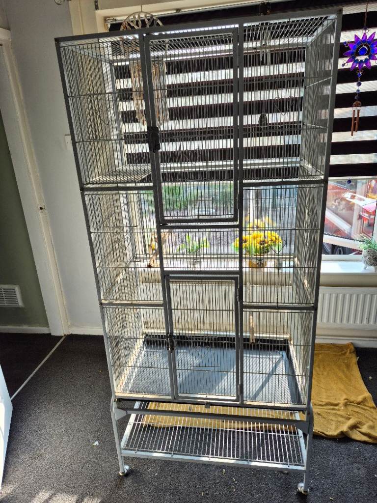 Large bird cage 