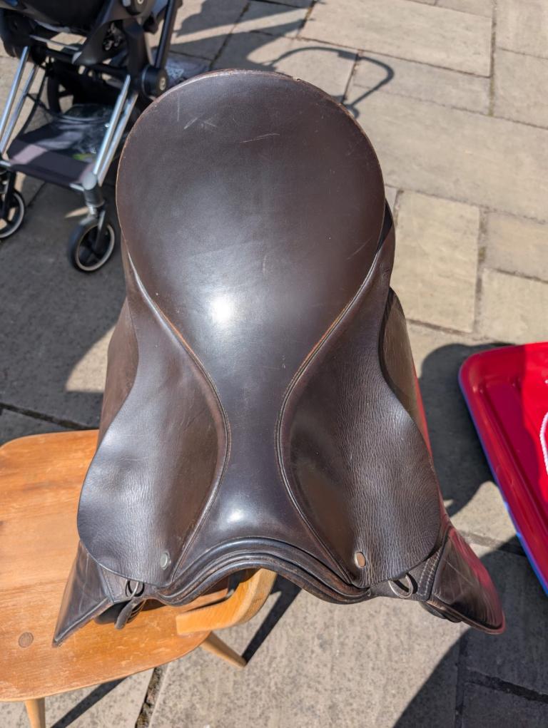 Brown Horse Saddle
