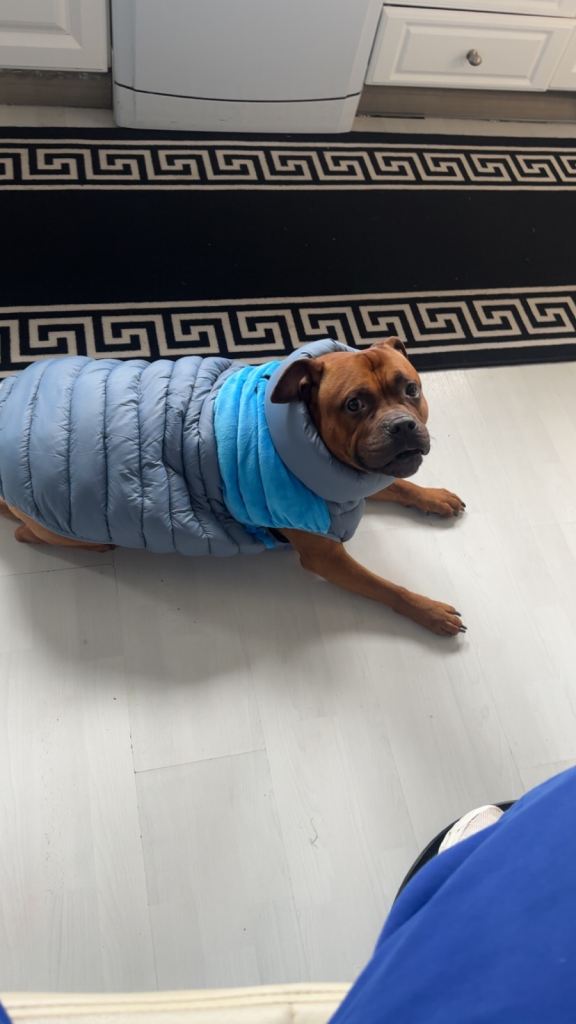 Chico