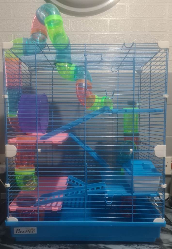 Large hamster cage