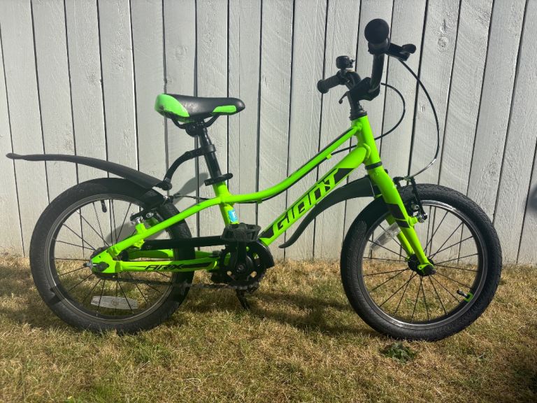 Giant ARX 16" Kids Bike - Green
