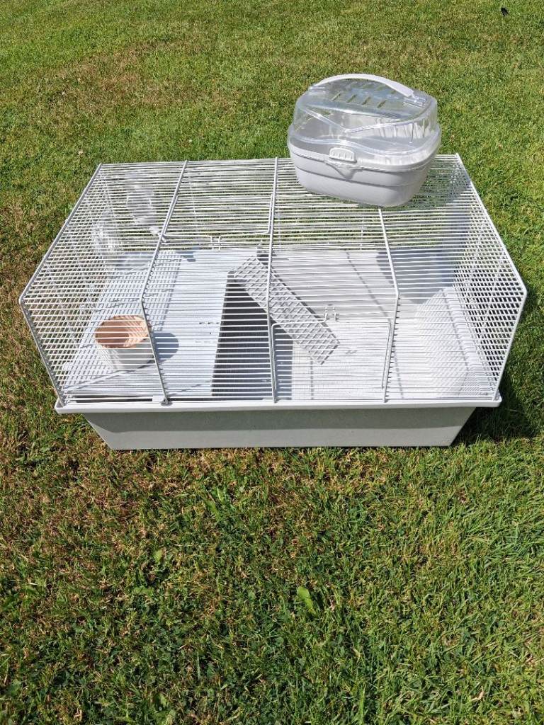 Dwarf Hamster Cage