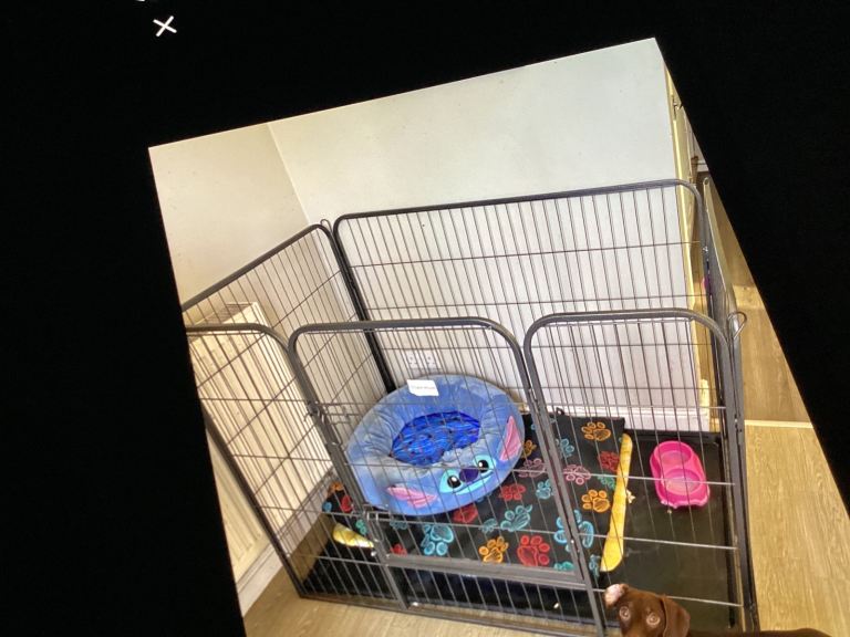 Large dog crate/playpen good condition 