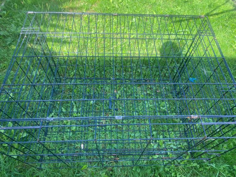 I Carte dog crate