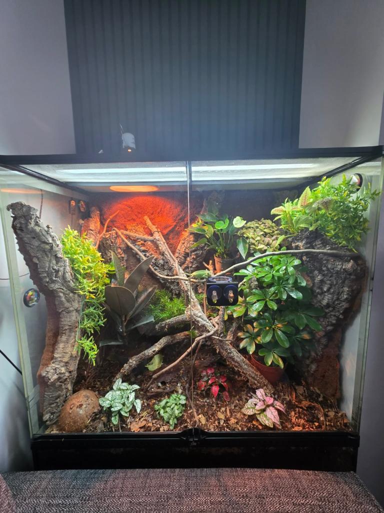 Exo terra vivarium