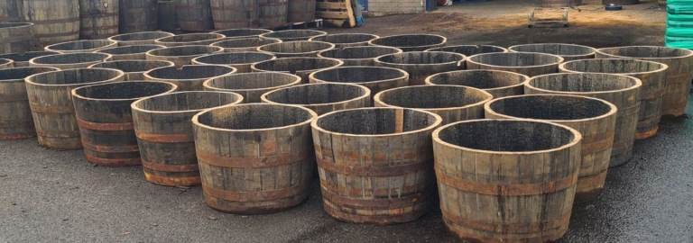 Oak whisky barrel planters free local delivery 