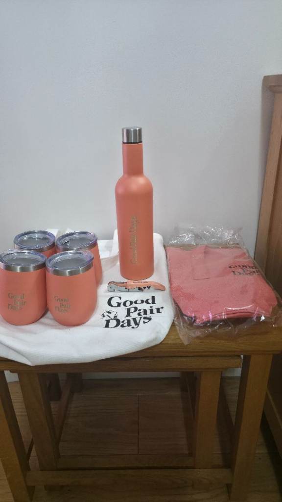 Good Pair Days - Insulated Wine Bottle & 4 Tumblers set with bags - Orange - NEW