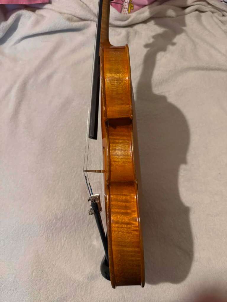 Violin