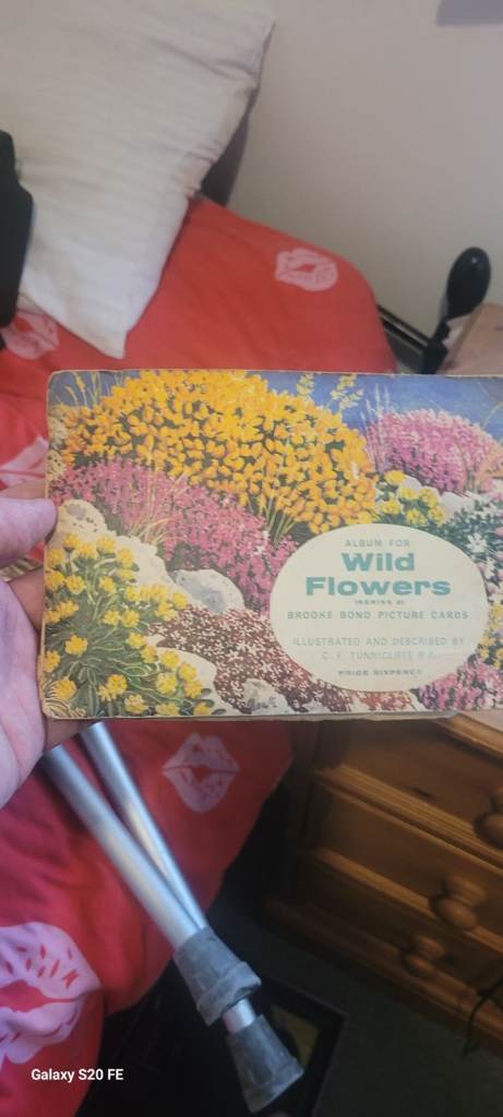 Wild Flowers Book – Good Condition
