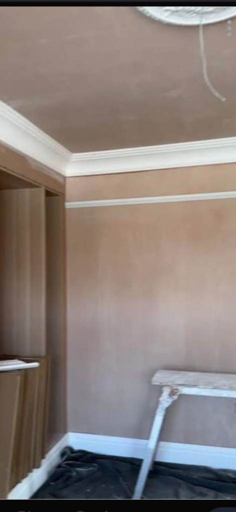 Plastering/painting/coving