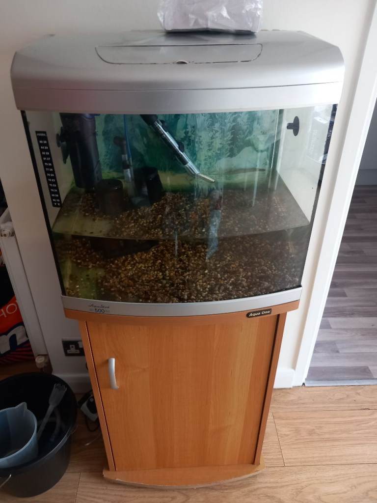 Fish tank 
