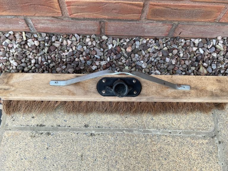 Large Bristle Outside Broome Head 