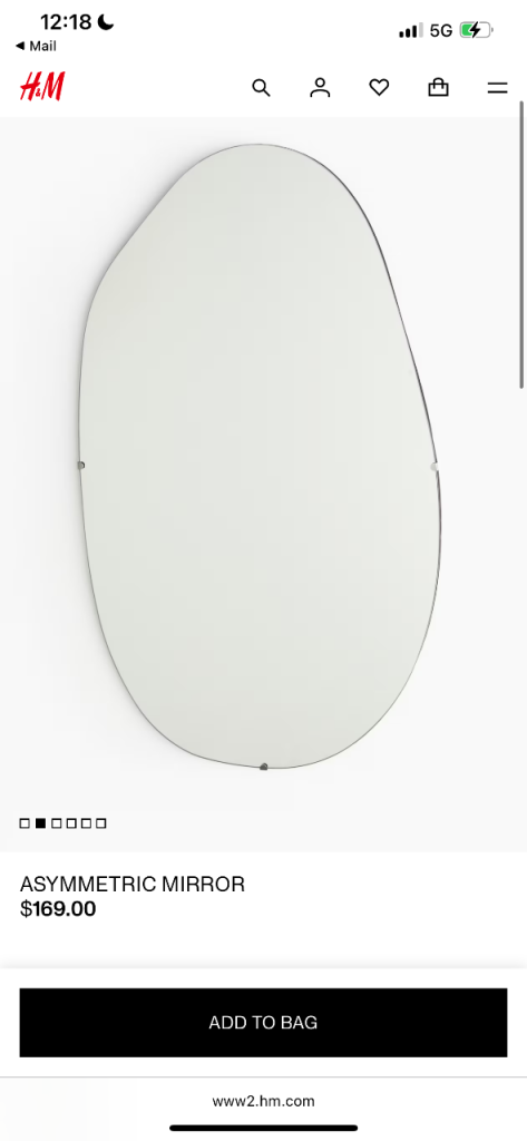 HM Asymmetric Mirror