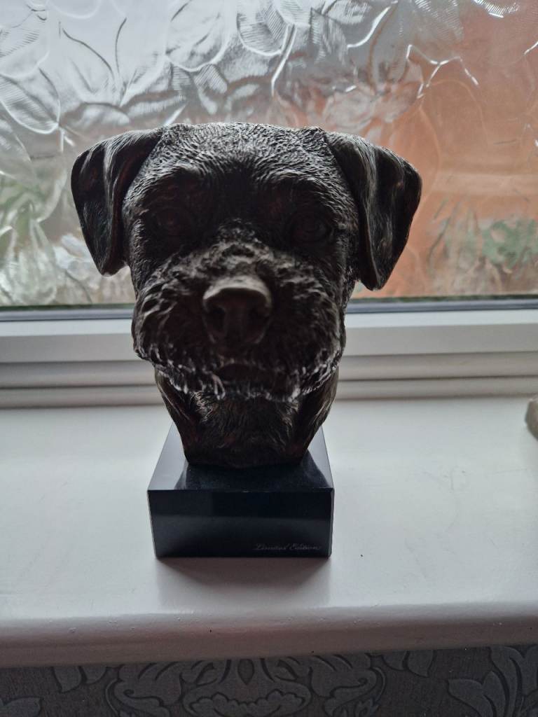 Border terrier head in bronze