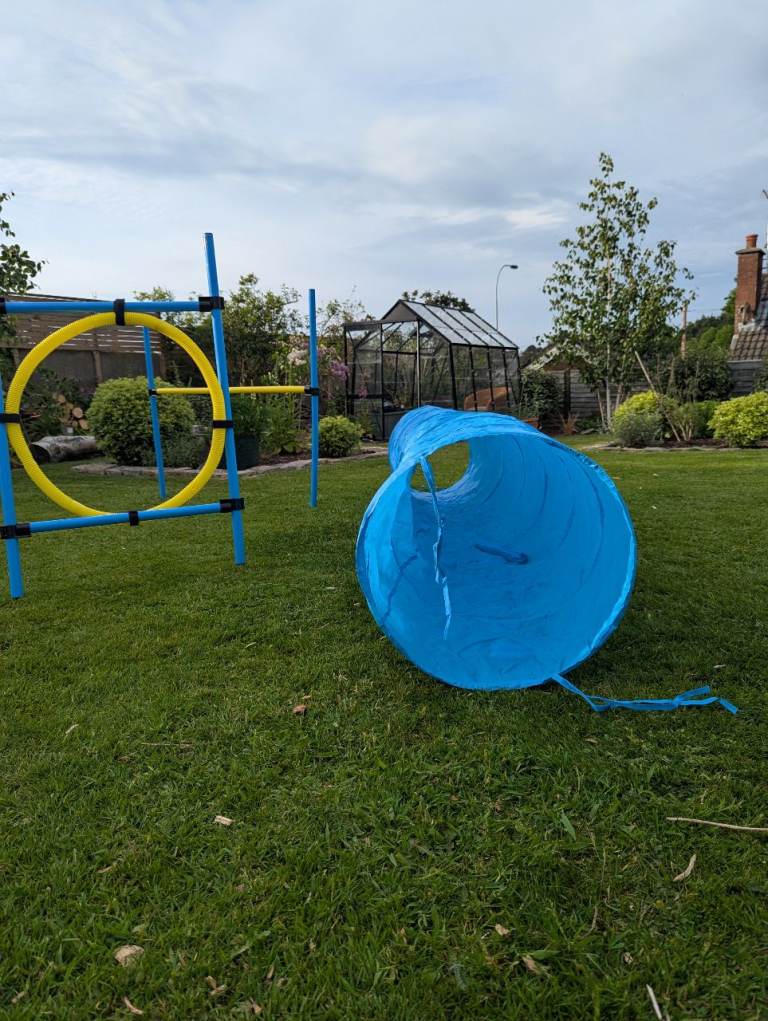 SOLD - Dog Agility Set