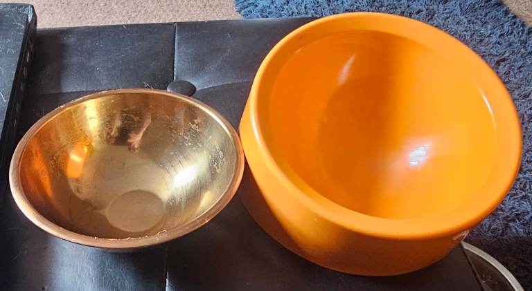 2 dog bowls