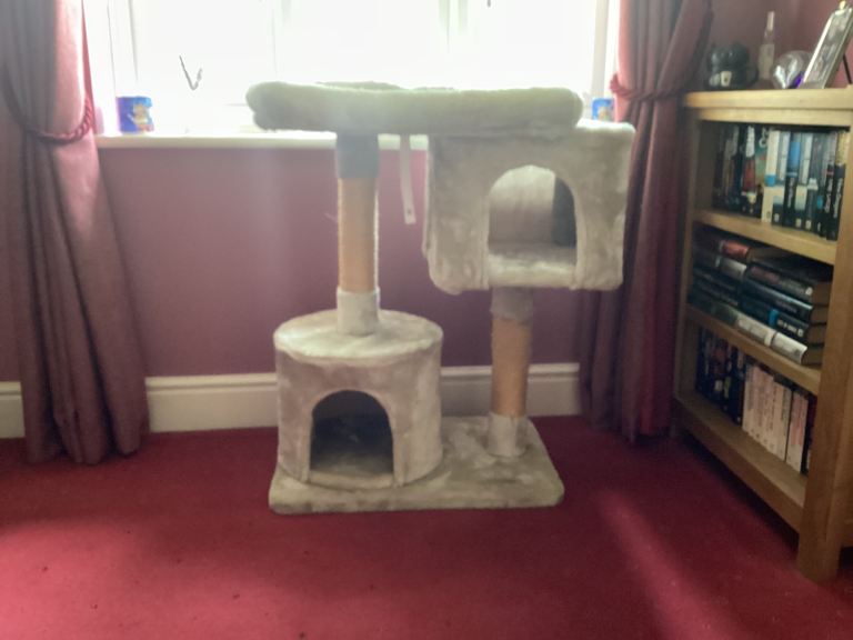 Cat bed and scratching post plus RSPCA cat bed