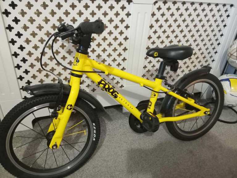 Frog 16' tour de france