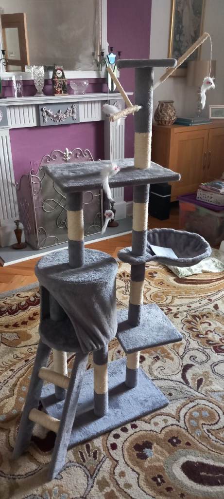 Cat Tree - Unused still in box