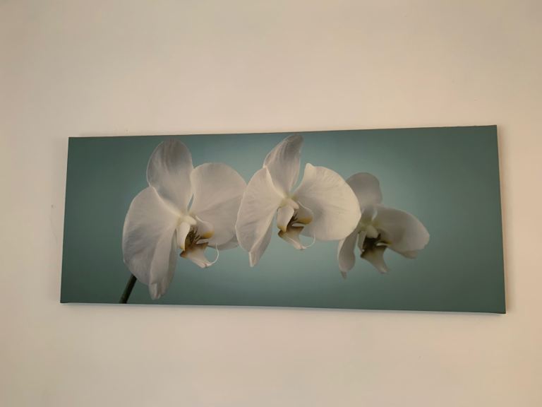 Teal Orchid Canvas Floral Wall Art