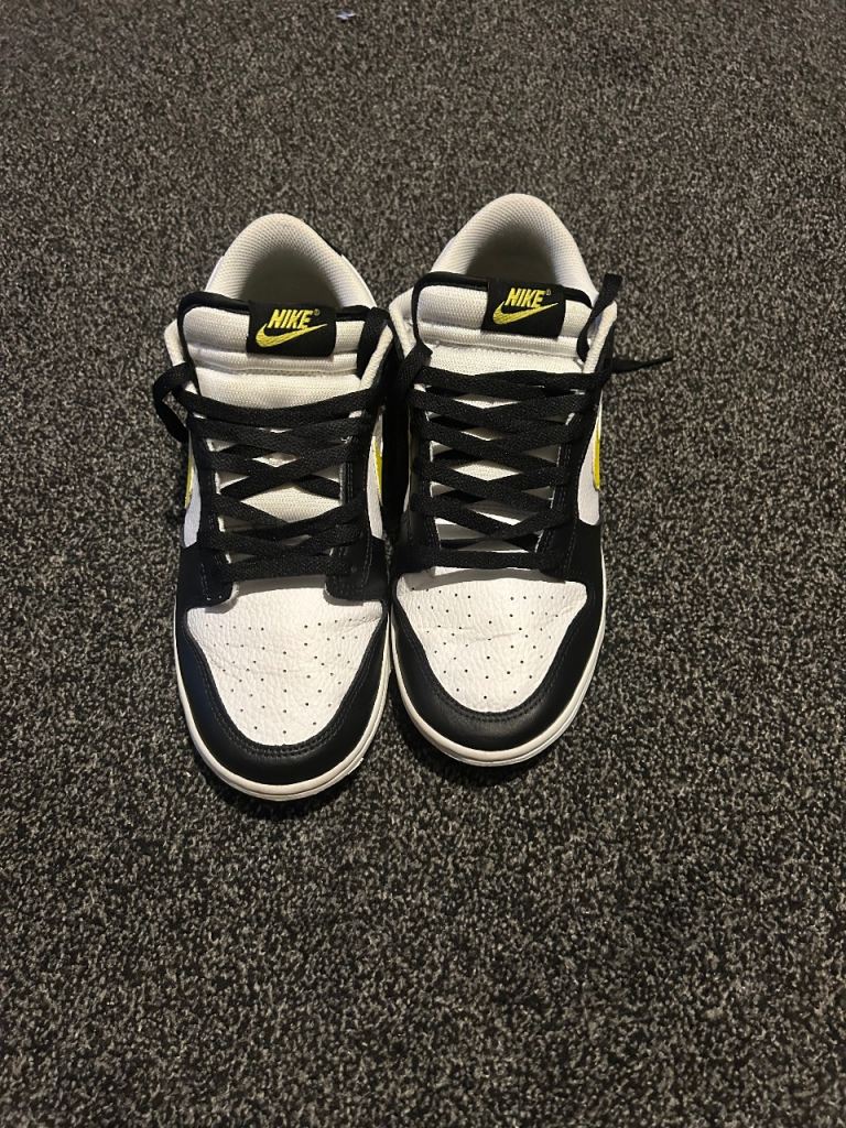 Nike low dunks size 9