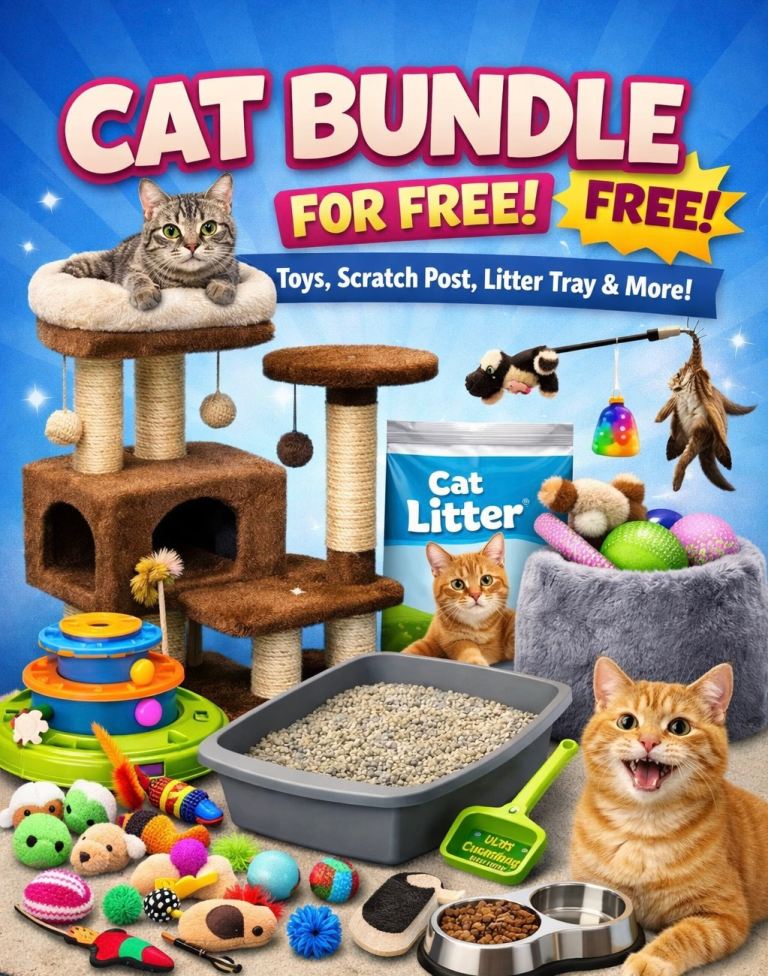 FREE Cat toys, scratch post, little tray etc 