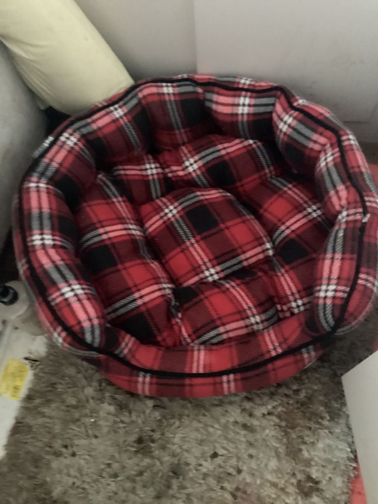 Dog bed 
