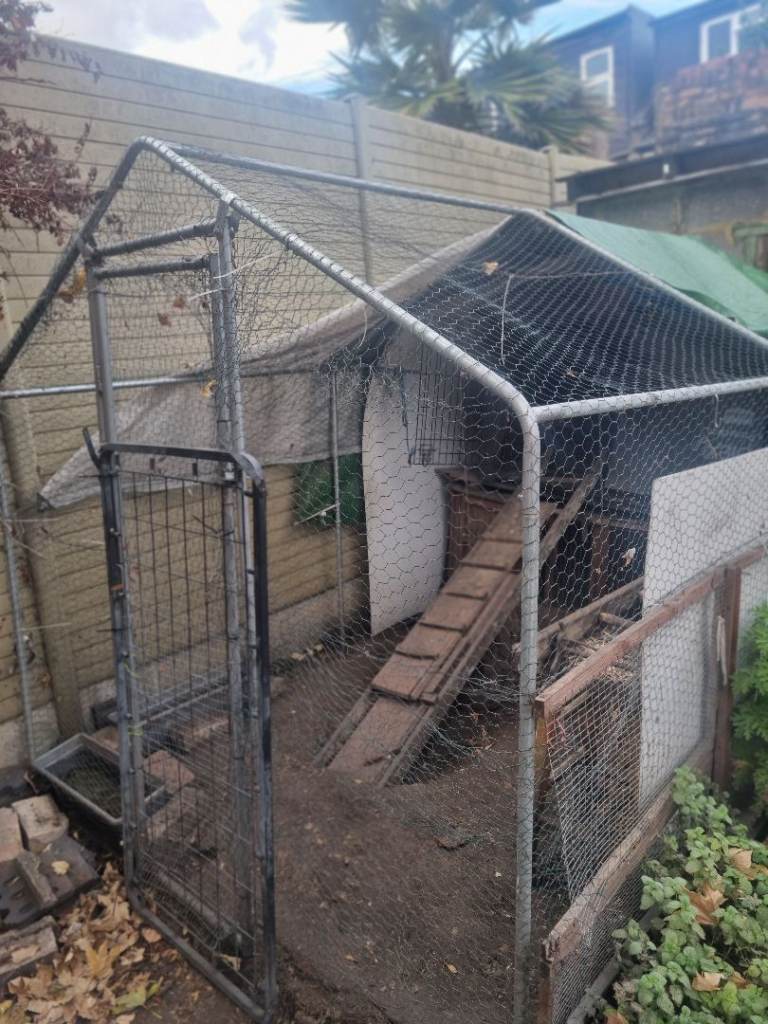 Chicken coup