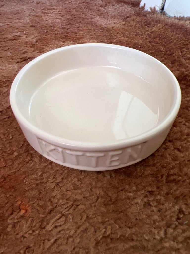 Cat bowl