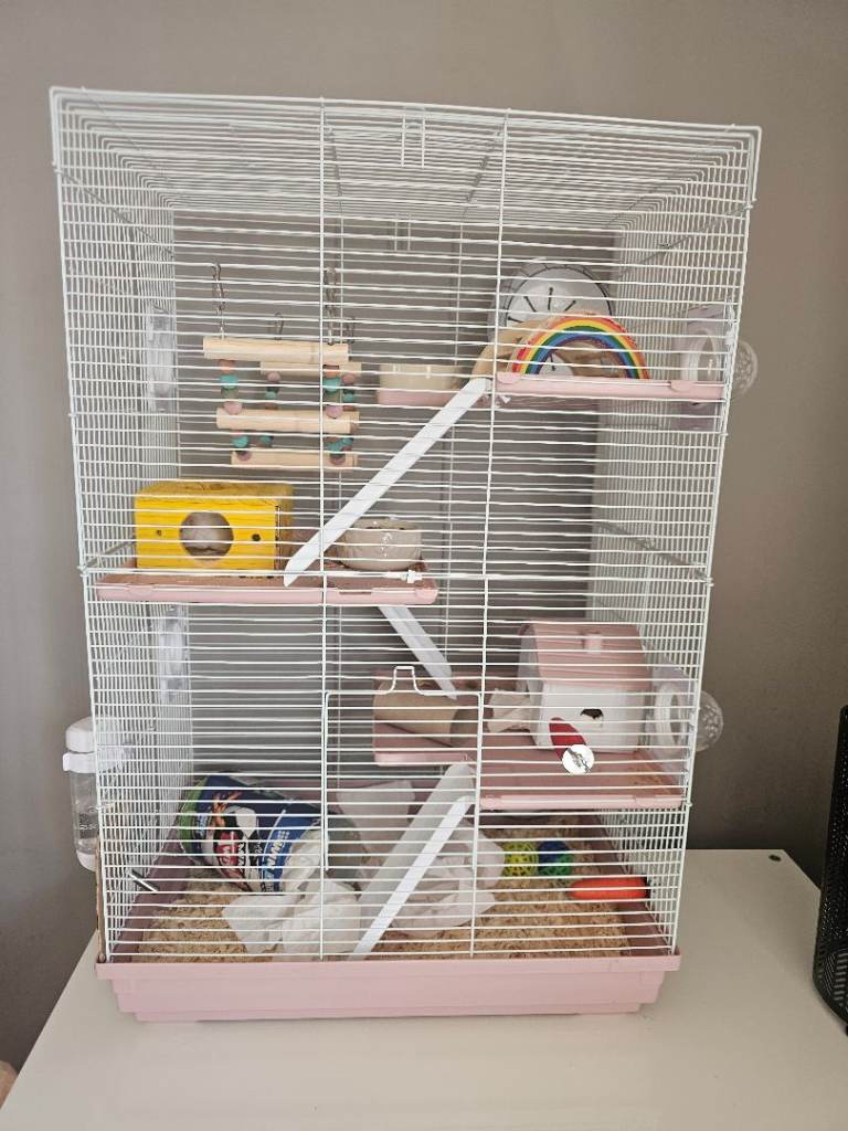 Small animal cage 