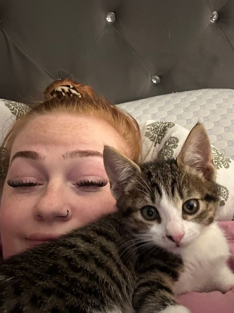Kitten female 