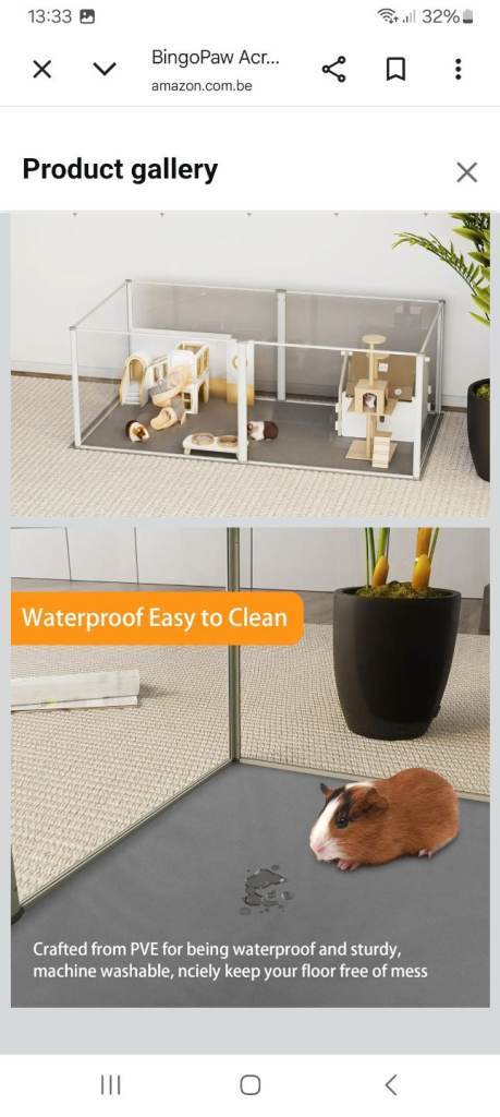 Bingo paw animail play area indoors or outdoors