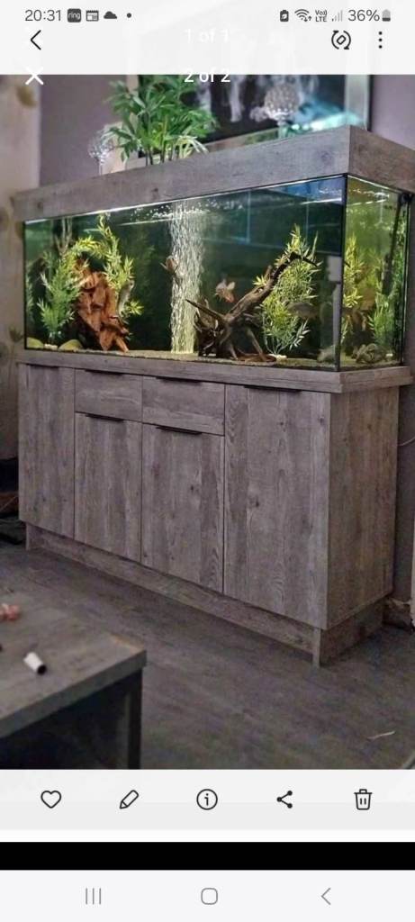 Fish tank 