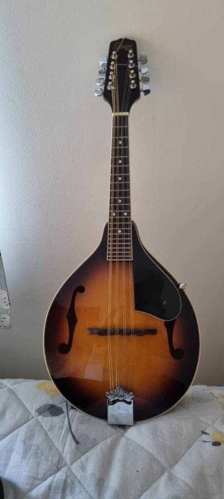 Mandolin, Semi Acoustic guitar for sale 