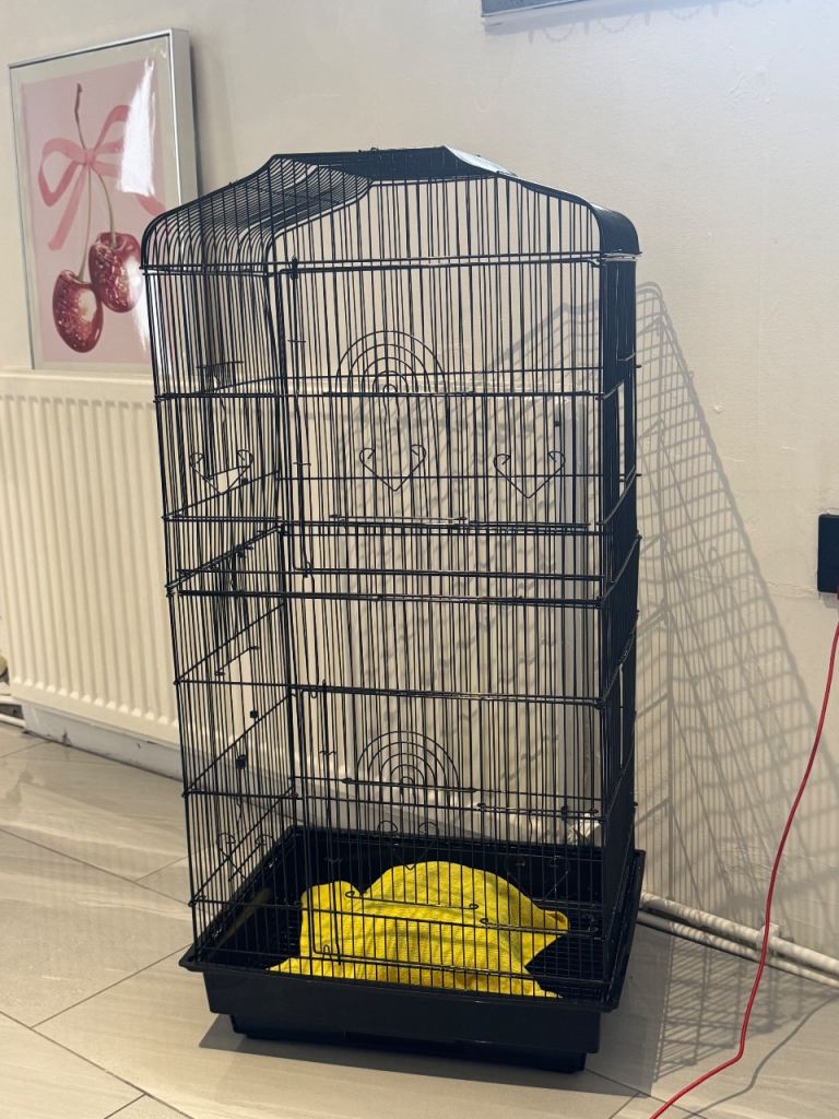 Large bird cage